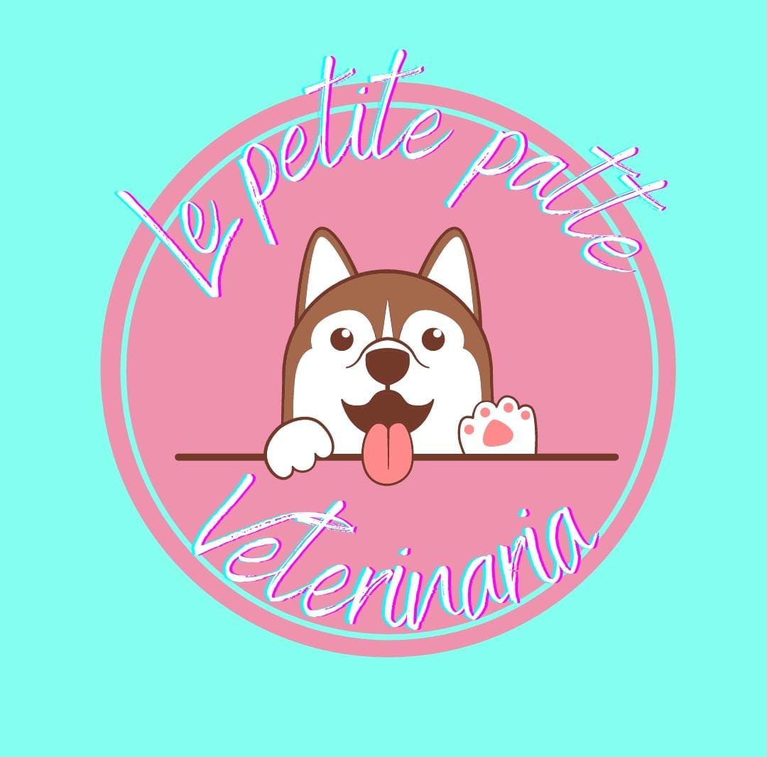 lepetitpatteveterinaria.com